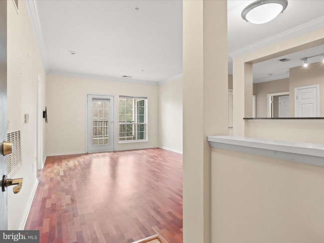Front door facing living room - 4860 Eisenhower Ave (Alexandria, VA) Apartment