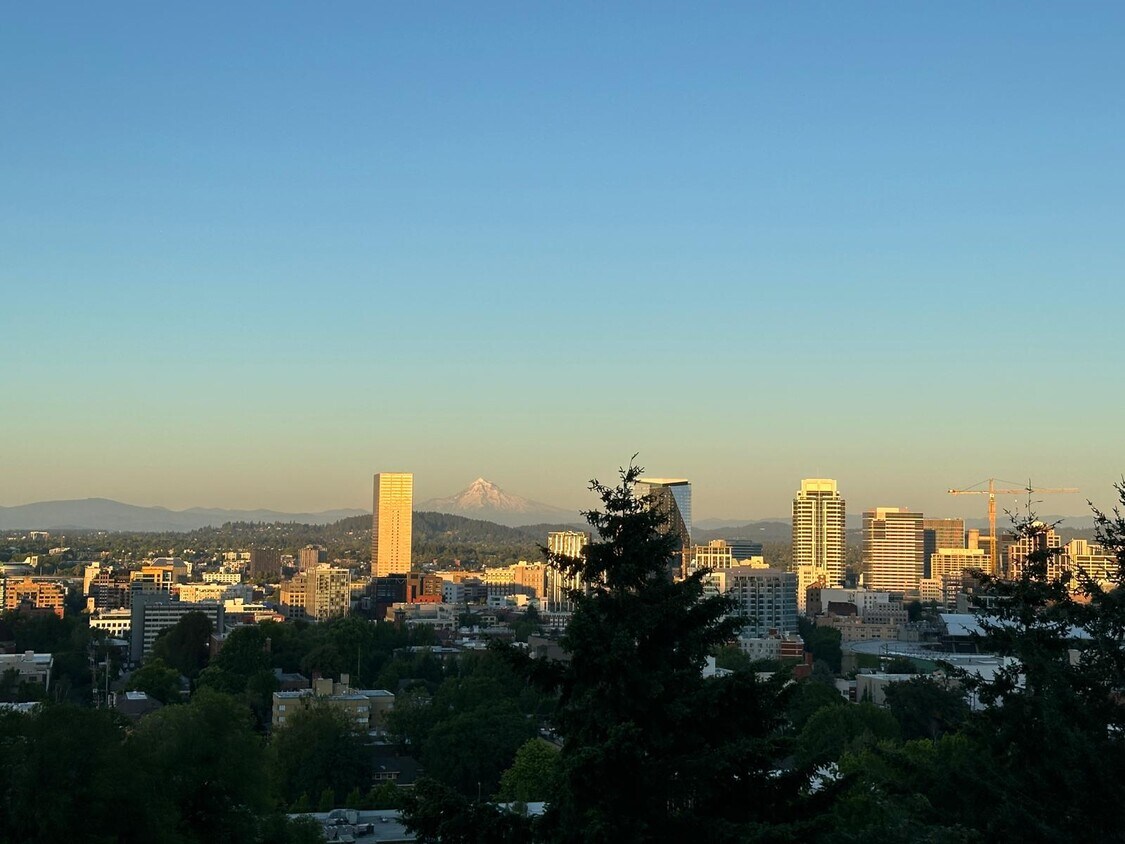 Foto principal - 402 NW Uptown Terrace