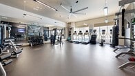 Located at 910 Ninth Ave N in Nashville, Tennessee, this fitness center is a comprehensively equipped, single-floor facility designed to support a full range of workout modalities. The space is divided into distinct functional zones, each purpose-built to accommodate different training styles.

The cardio area features a row of treadmills, an elliptical, and a stair climber, all positioned facing large windows that allow generous natural light to fill the room. Full-length mirrors line the walls, enhancing the sense of openness throughout. A large ceiling fan provides airflow across this section of the floor.

The strength training zone houses a selection of selectorized machines, including leg extension and seated cable units, alongside a dedicated free weights area with a full dumbbell rack. The rubber flooring throughout provides both safety and durability.

A standout feature of the facility is its functional training area, anchored by a RAX multi-functional training rig stocked with kettlebells, medicine balls, resistance bands, and a heavy bag. This zone is styled with bold, Nashville-inspired wall graphics depicting the city's iconic bridge, adding a distinctive local character to the space. Wall-mounted TVs ensure users can stay informed or entertained during their workouts. The overall design is modern and purposeful, catering to a wide range of fitness needs.