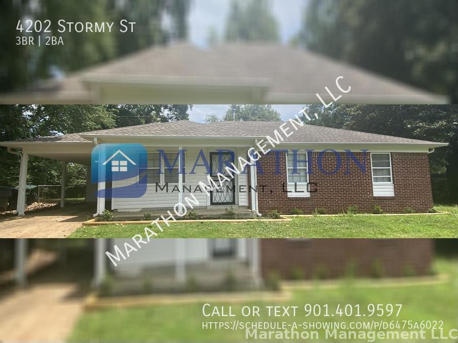 Primary Photo - 4202 Stormy St