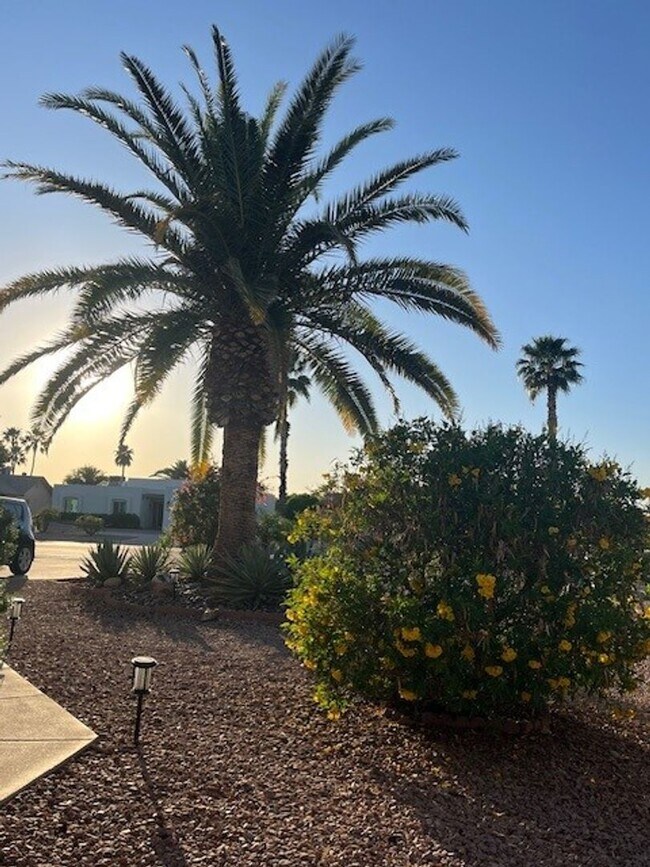 Foto del edificio - Great Summer Rental at a Great Price! Available May 15 through October 15, 2026 Only. Lovely cozy...