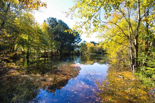 Building Photo - Available Now – Sought After Walnut Grove ...