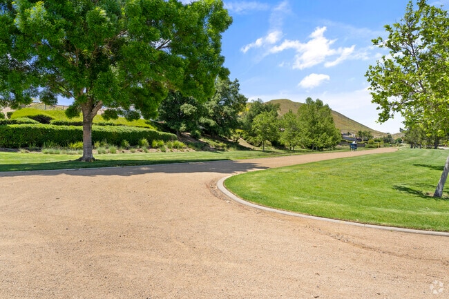Discover the thrill of adventure on Menifee's captivating hiking trails.