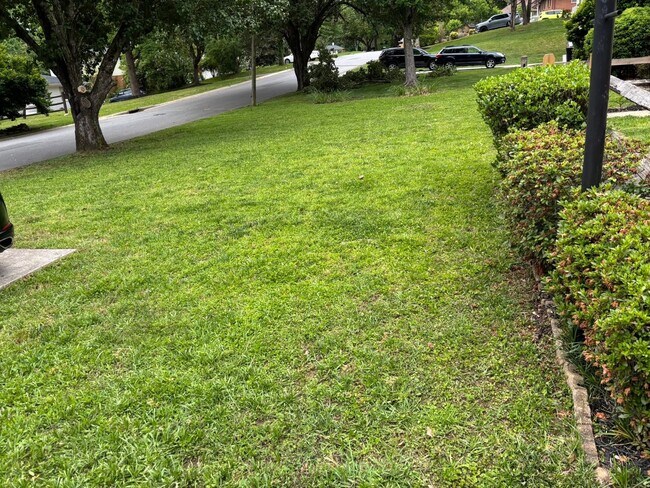 Patio delantero - 1210 Fox Run Dr