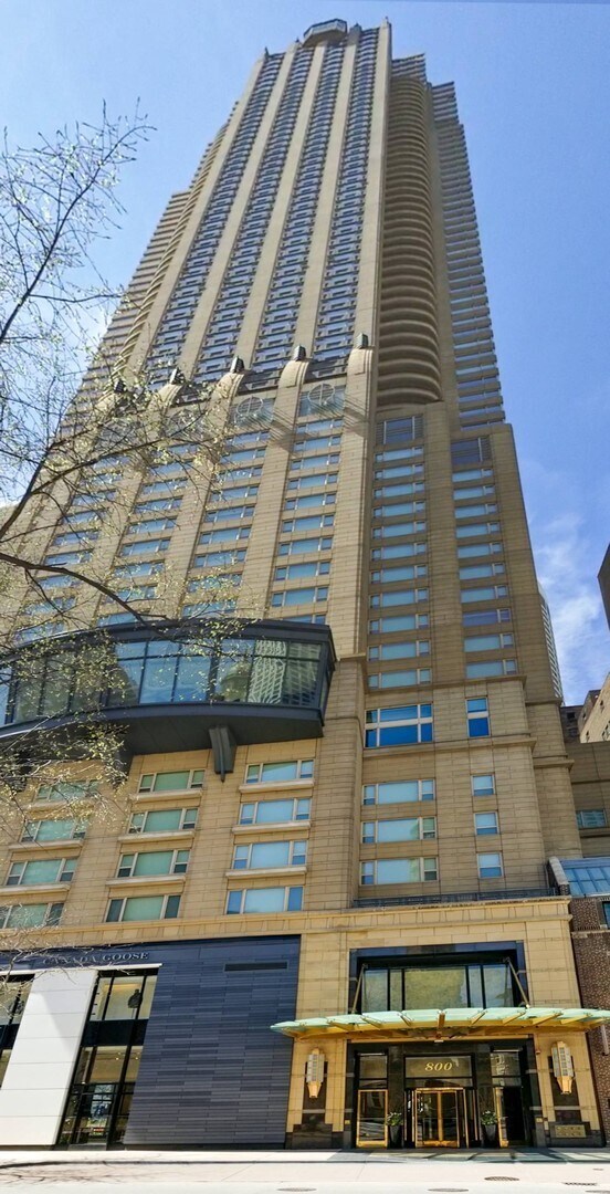 Building Photo - 800 N Michigan Ave