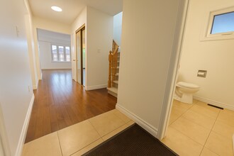 Building Photo - 31 Bingham St