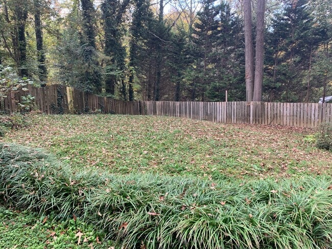 private fenced backyard - 217 Morehead St