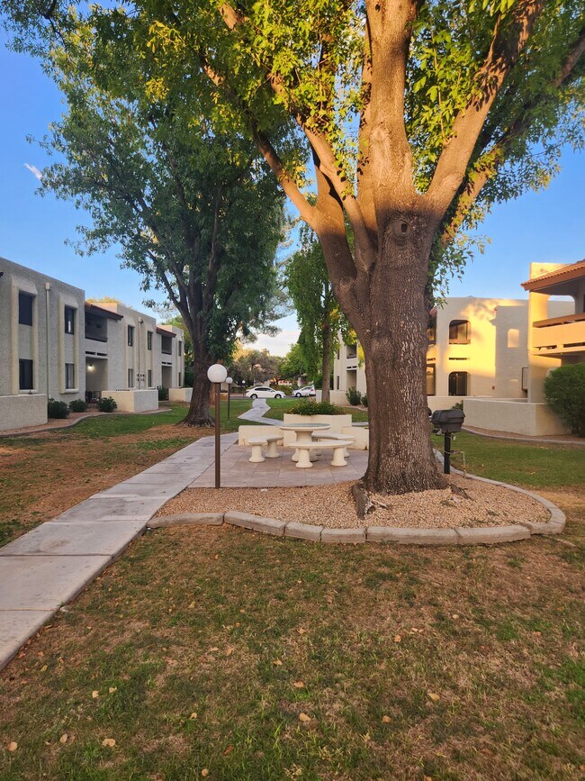 10444 N 69th St Unit 217, Paradise Valley, AZ 85253 Apartments in Paradise Valley, AZ
