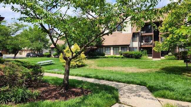 Foto del edificio - Remodel 2 BR