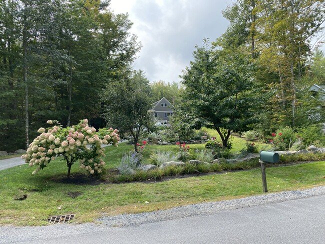 Foto del edificio - 18 Winter Hills Ln