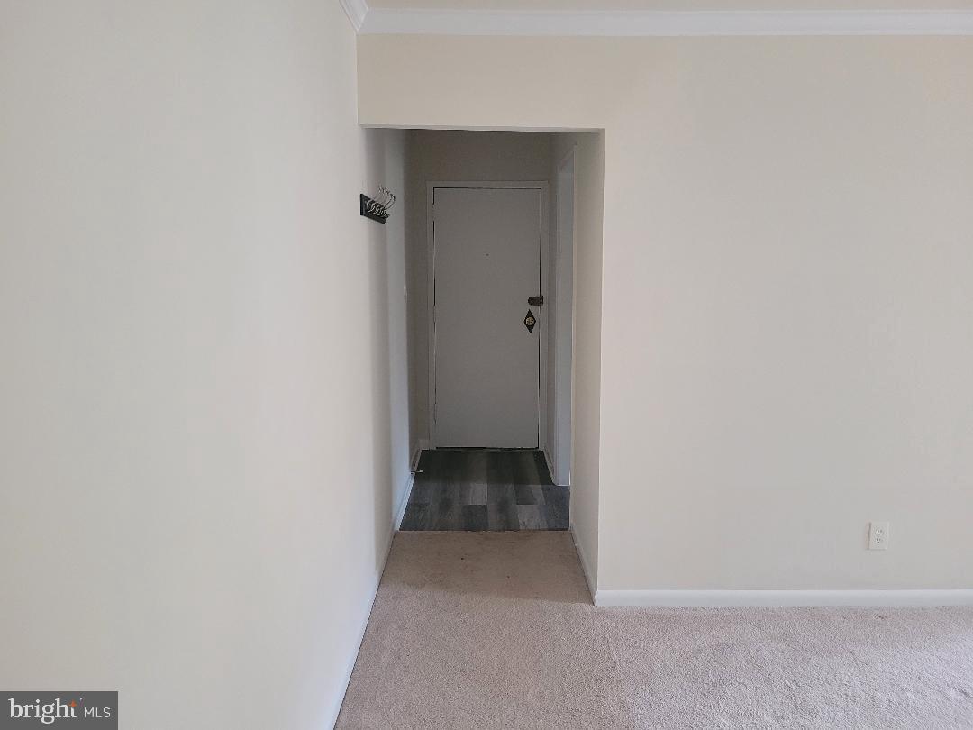 3790 Lyndhurst Dr Unit 301, Fairfax, VA 22031 Room for Rent in