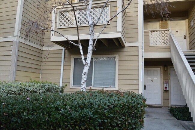 Building Photo - 1537 Four Oaks Cir