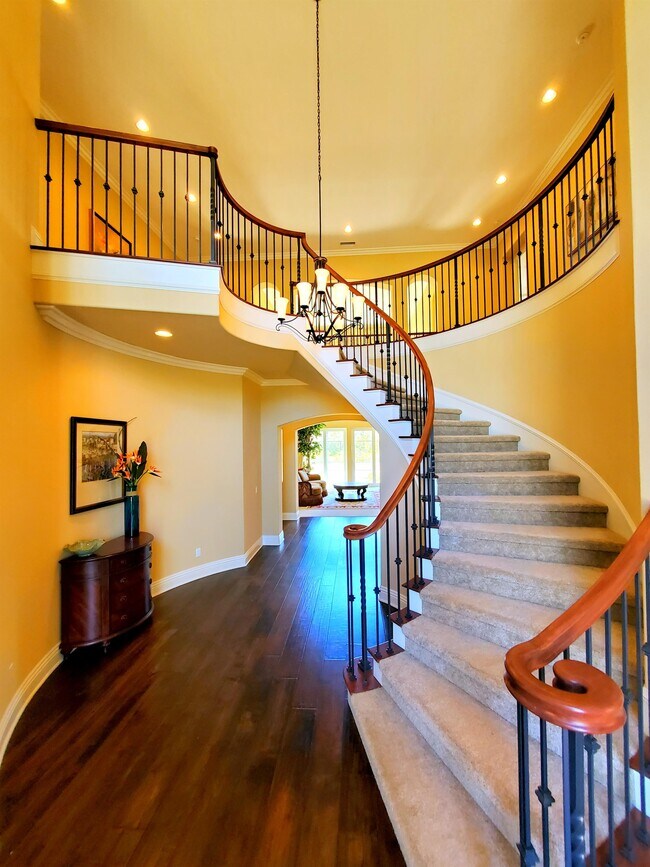 Building Photo - 3223 Castelli Dr