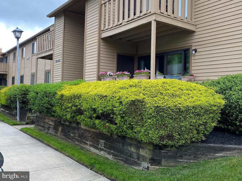 Foto principal - 1607 Woodhollow Dr