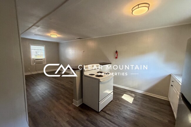 Foto del edificio - Renovated 2BR Apartment Near Downtown Greer