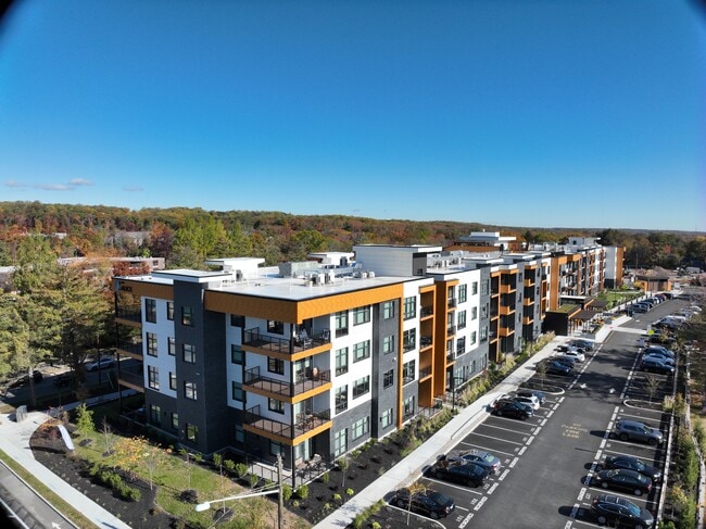 Exterior 3D - The Alice