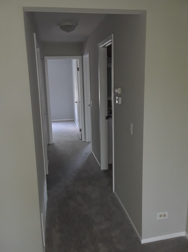 375 Newgate Ct Unit N2, Schaumburg, IL 60193 Condo for Rent in
