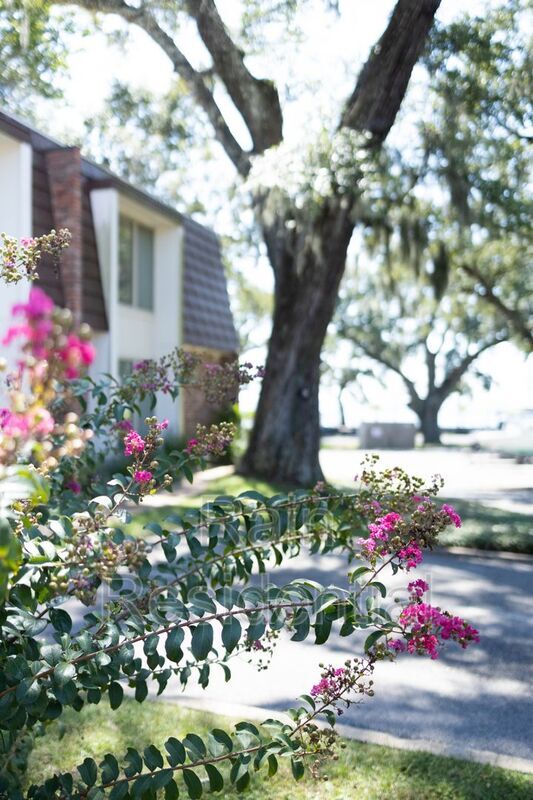 Foto principal - 527 Front Beach Dr