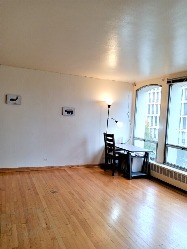 1450 E 55th Pl Unit 525s, Chicago, IL 60637 Condo for Rent in Chicago