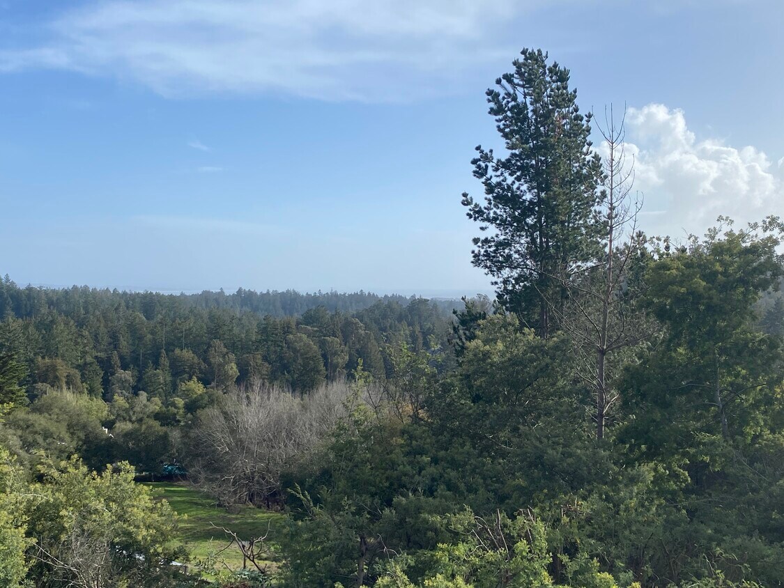 Ocean Views - 440 Cress Rd