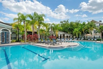 Pool - The Grand Reserve at Park Isle Apartments