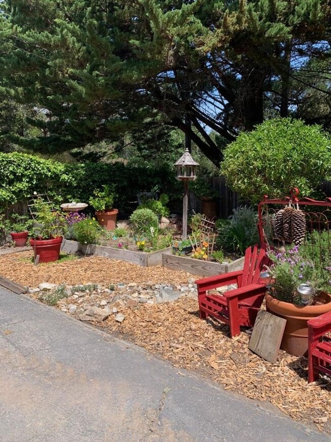 Building Photo - Wonderful 3 bedroom, 2 bathroom house in the Jacks Peak area