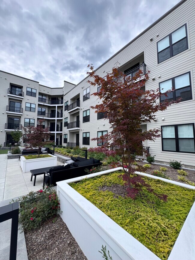 Patio 3 - Berkeley House