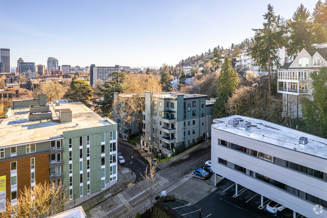 Aerial Photo - Arbor Vista