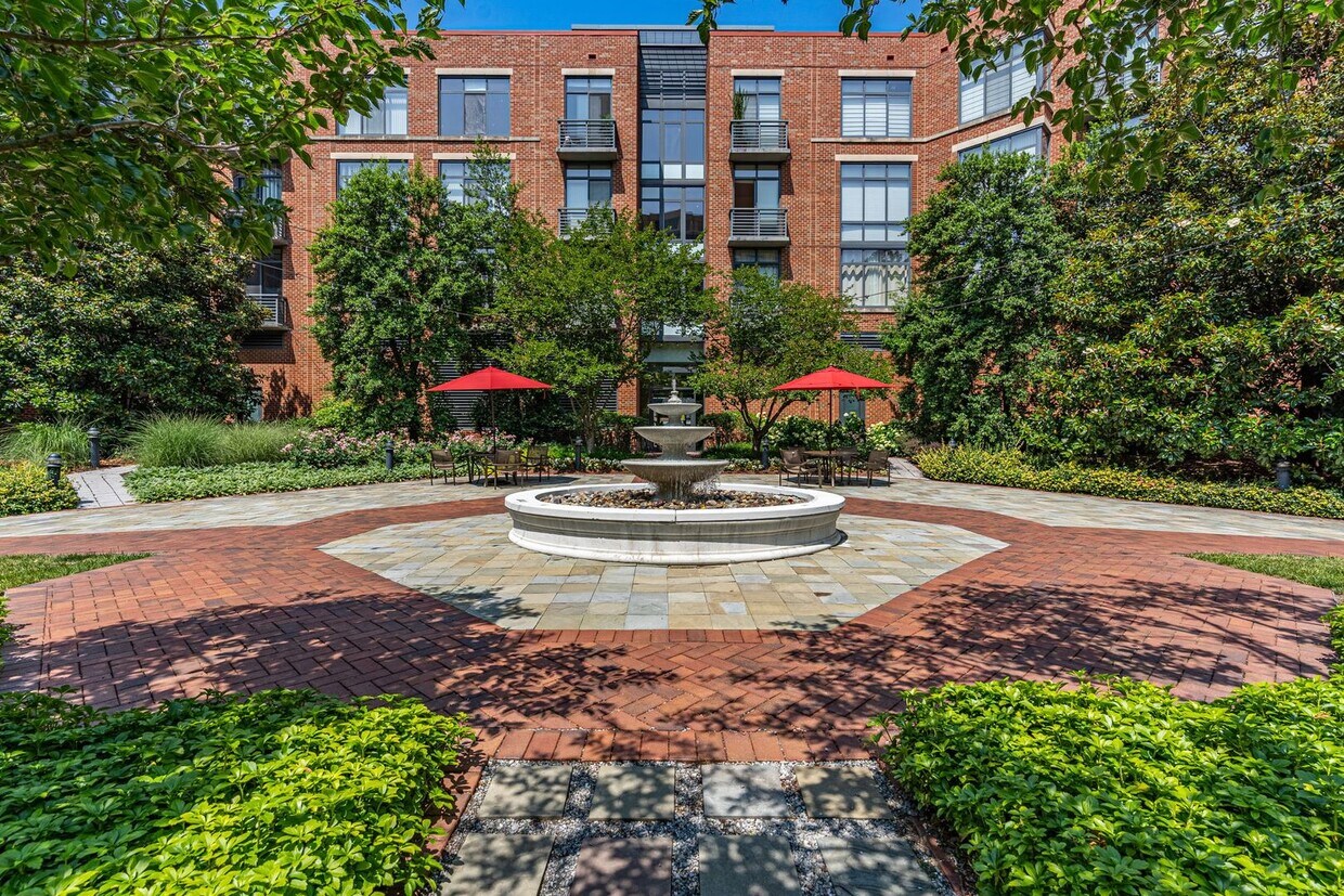Modern Condo in Old Town Alexandria - Modern Condo in Old Town Alexandria