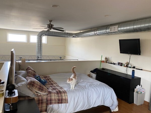 Building Photo - 91 Harvey St