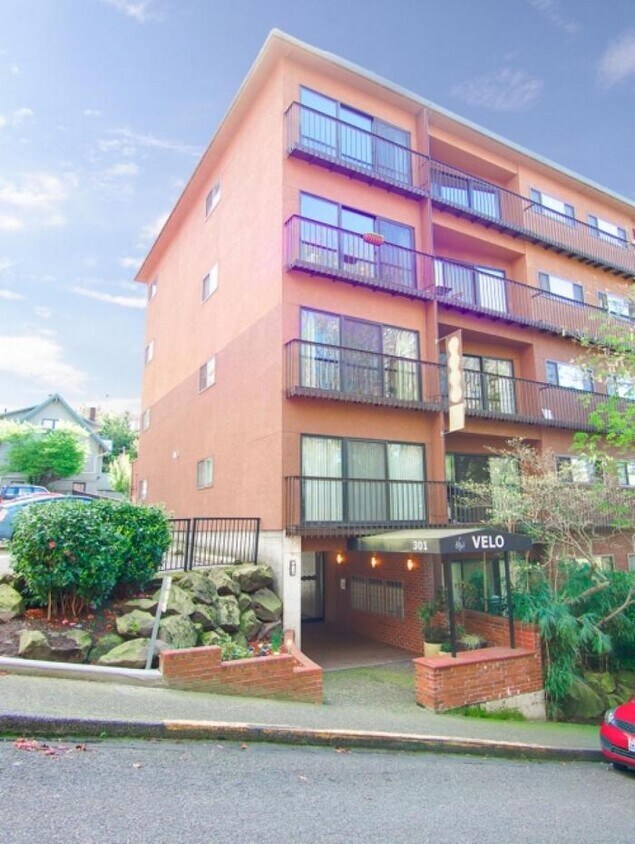 Primary Photo - 1 bedroom in Seattle WA 98102
