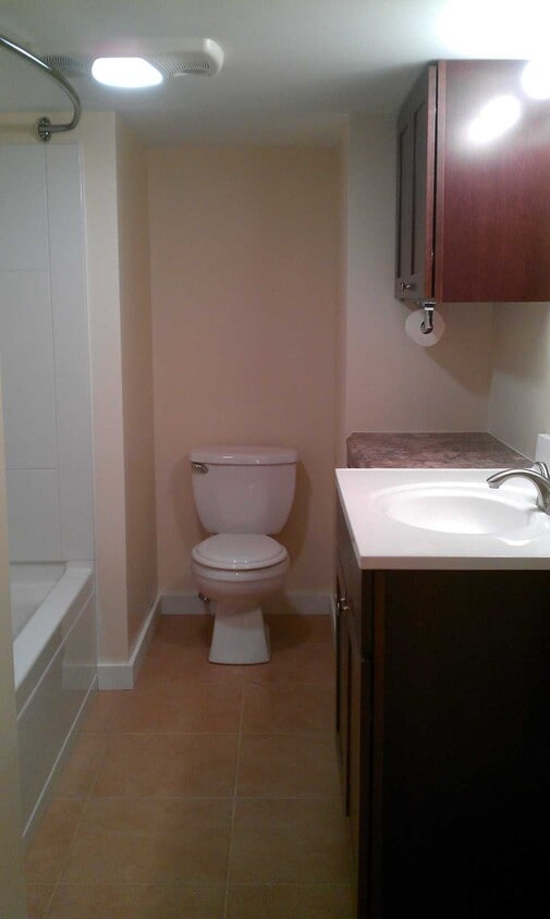 Updated bathroom - 182 Oneida St