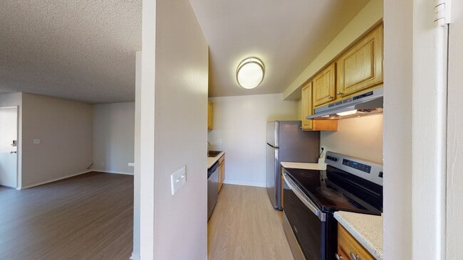 Interior Photo - Marina Playa