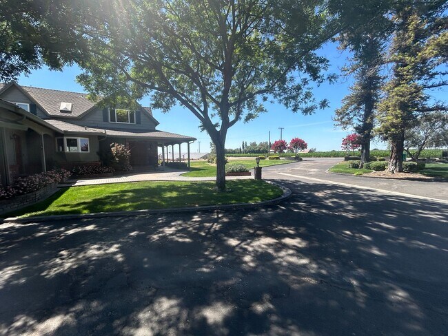 Building Photo - Country home with inground pool/spa. Pool ...