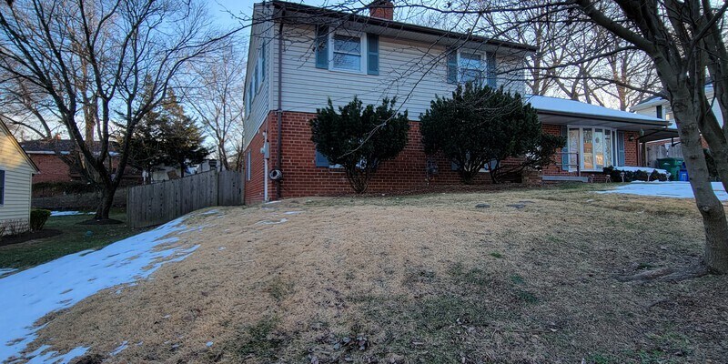 Primary Photo - Castleleigh Basement Rental