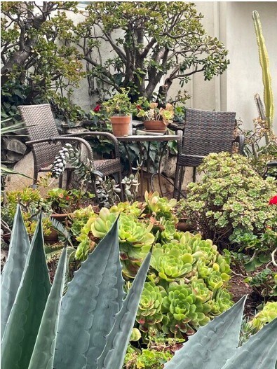 Jardín delantero con sillas - 829 11th St