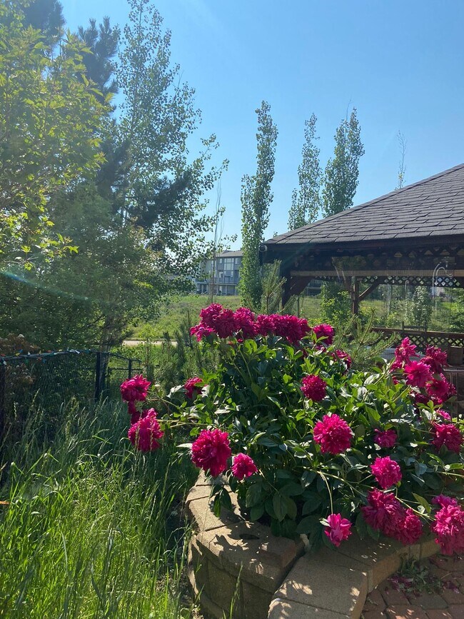 vue sur le jardin à travers le ravin - 268 Kincora Hts NW