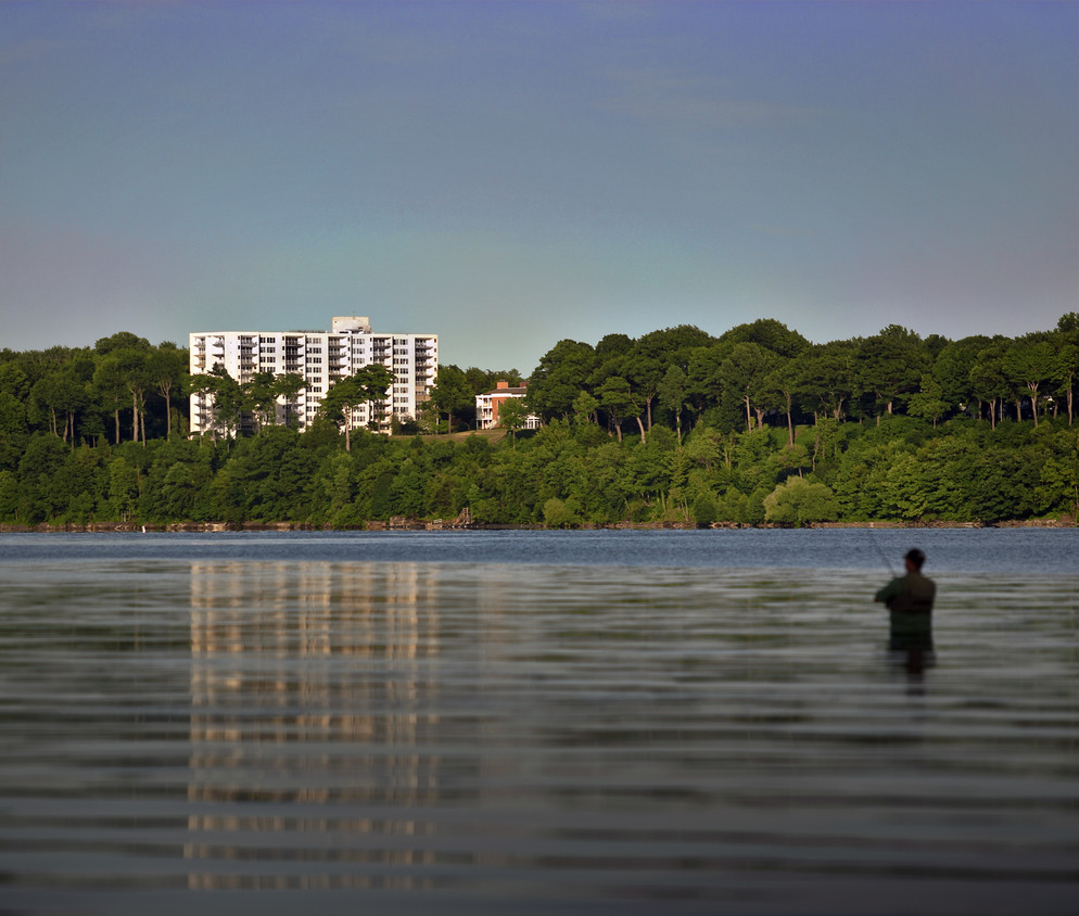 Primary Photo - South Shore Place