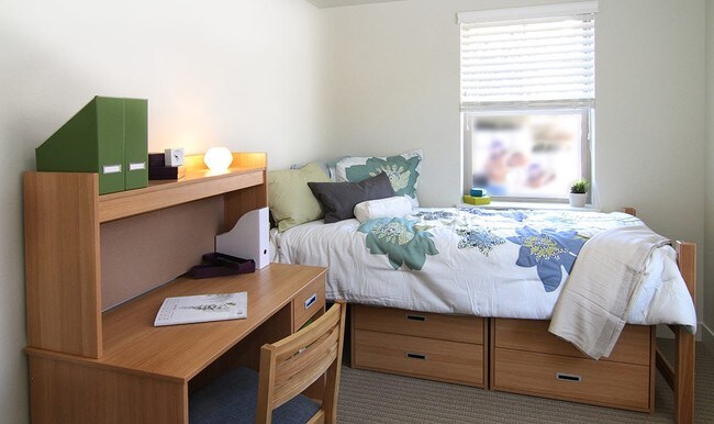 Foto del interior - The Village at South Campus