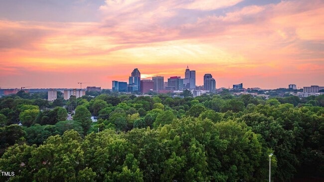 Photo - 1103 Alfonso Ln Townhome