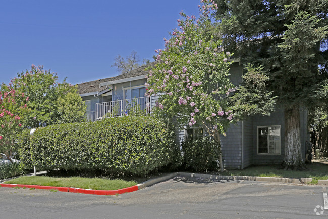 Building Photo - Palm Terrace Apartments