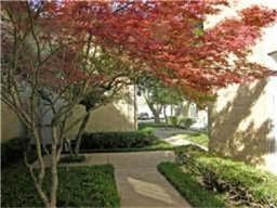 Building Photo - 10718 Park Village Pl
