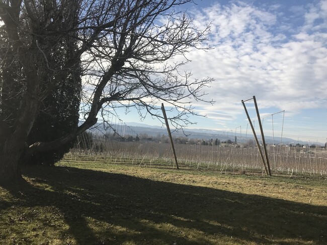 Building Photo - Vintage Farm House in Beautiful Private Se...