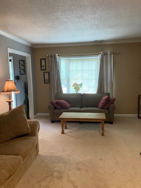 Living Room - 3322 Coachmans Way