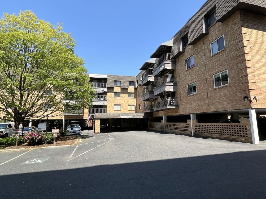 Foto principal - Updated 3 Bed Condo in Myers Park