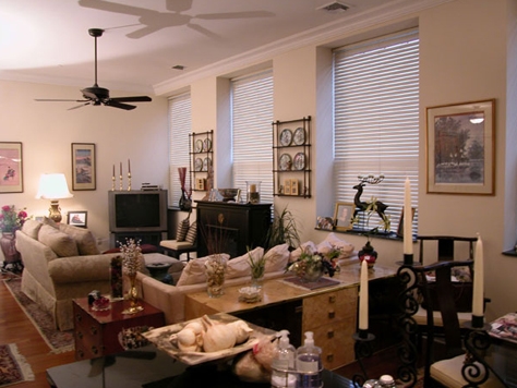 Living Room - Forest Mill