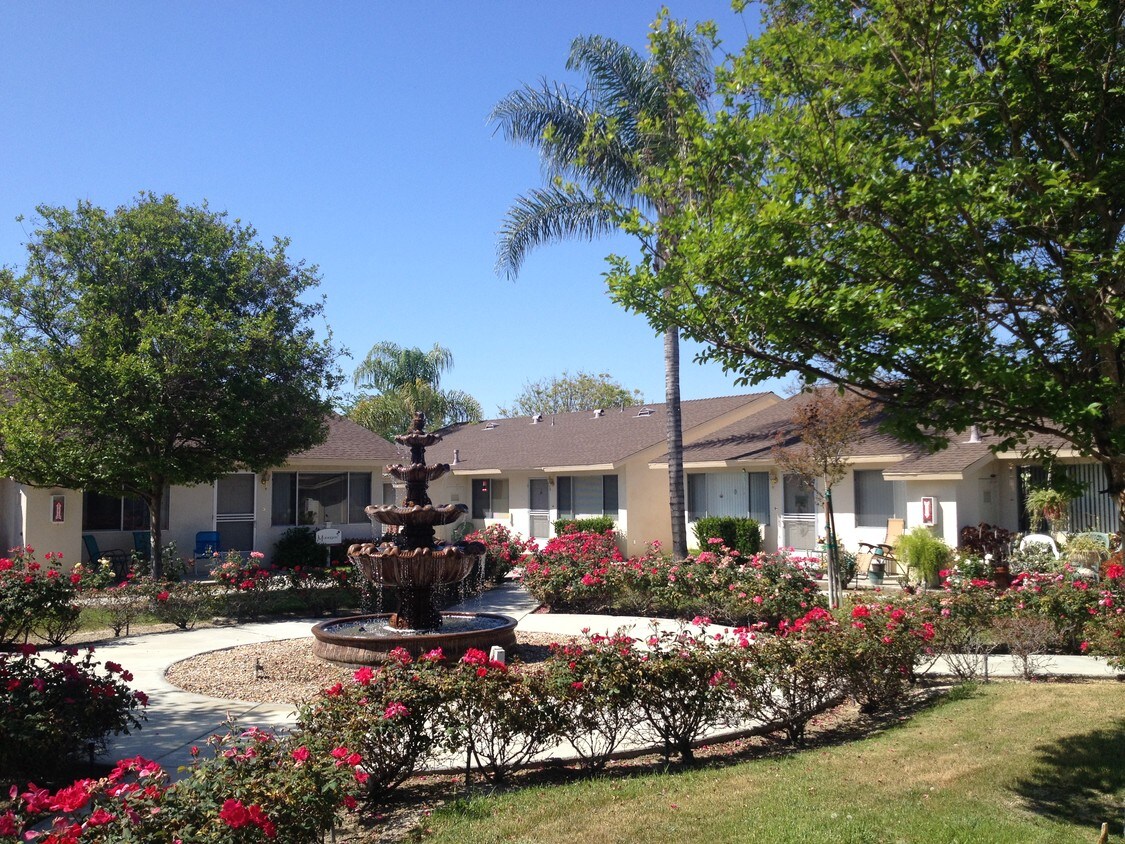 Foto principal - Catalina Gardens Senior Apartments