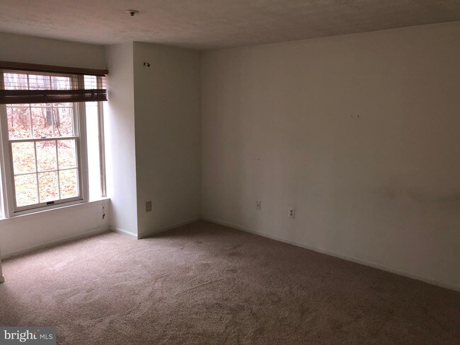 Foto del edificio - 905 Woodbridge Ct