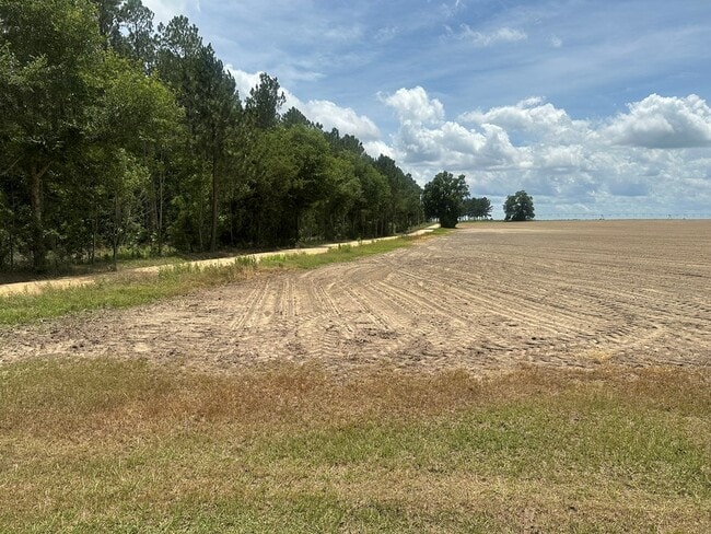 Building Photo - 266 Presley Suber Rd