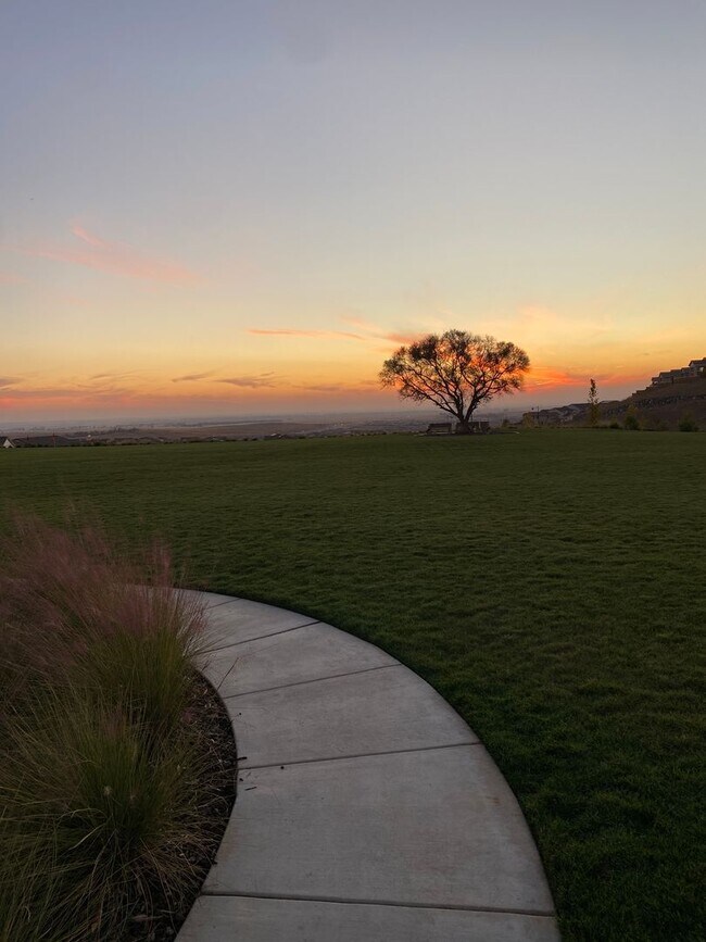 Building Photo - SAVE MONEY WITH SOLAR! Stunning Russell Ranch Home in Folsom Ranch – 3 Bedrooms + Office!